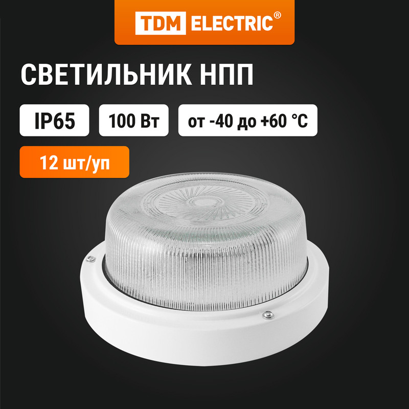 Светильник TDM НПП 03-100-003 металл стекло IP65 SQ0311-0019