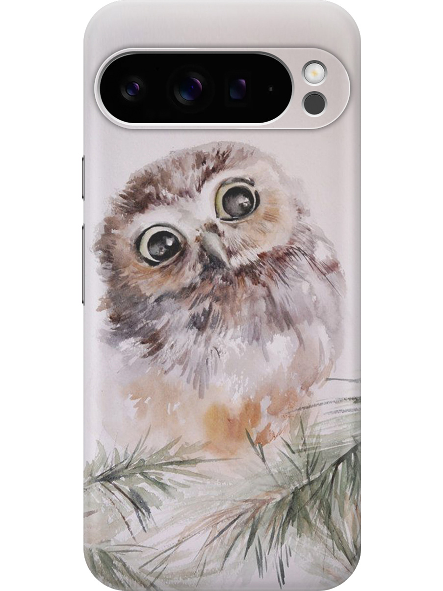 

Силиконовый чехол на Google Pixel 9 pro с принтом "Совенок", Прозрачный;зеленый;коричневый;серый, 784810312