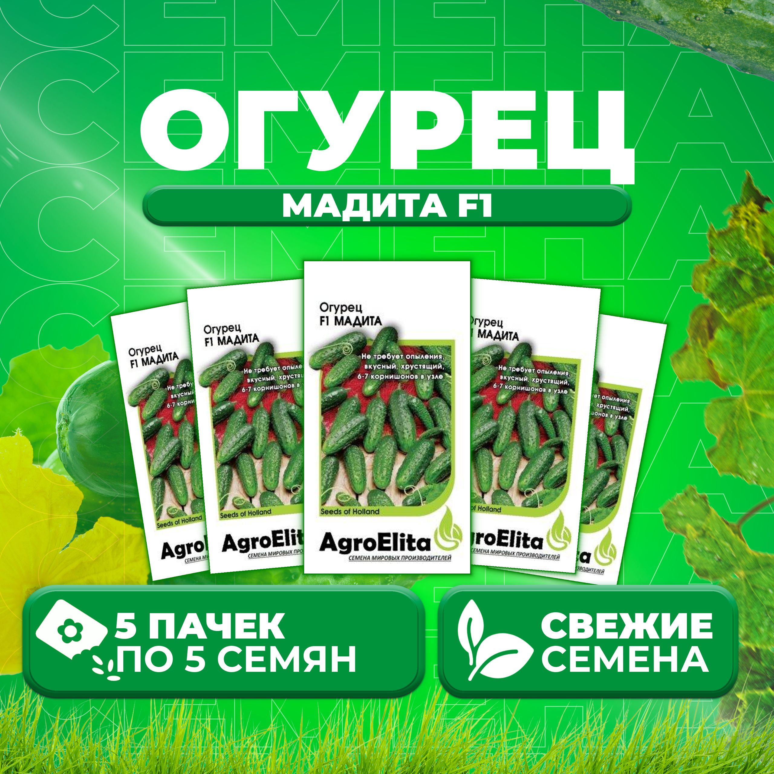 Семена огурец Мадита F1 AgroElita 107000648-5 5 уп.