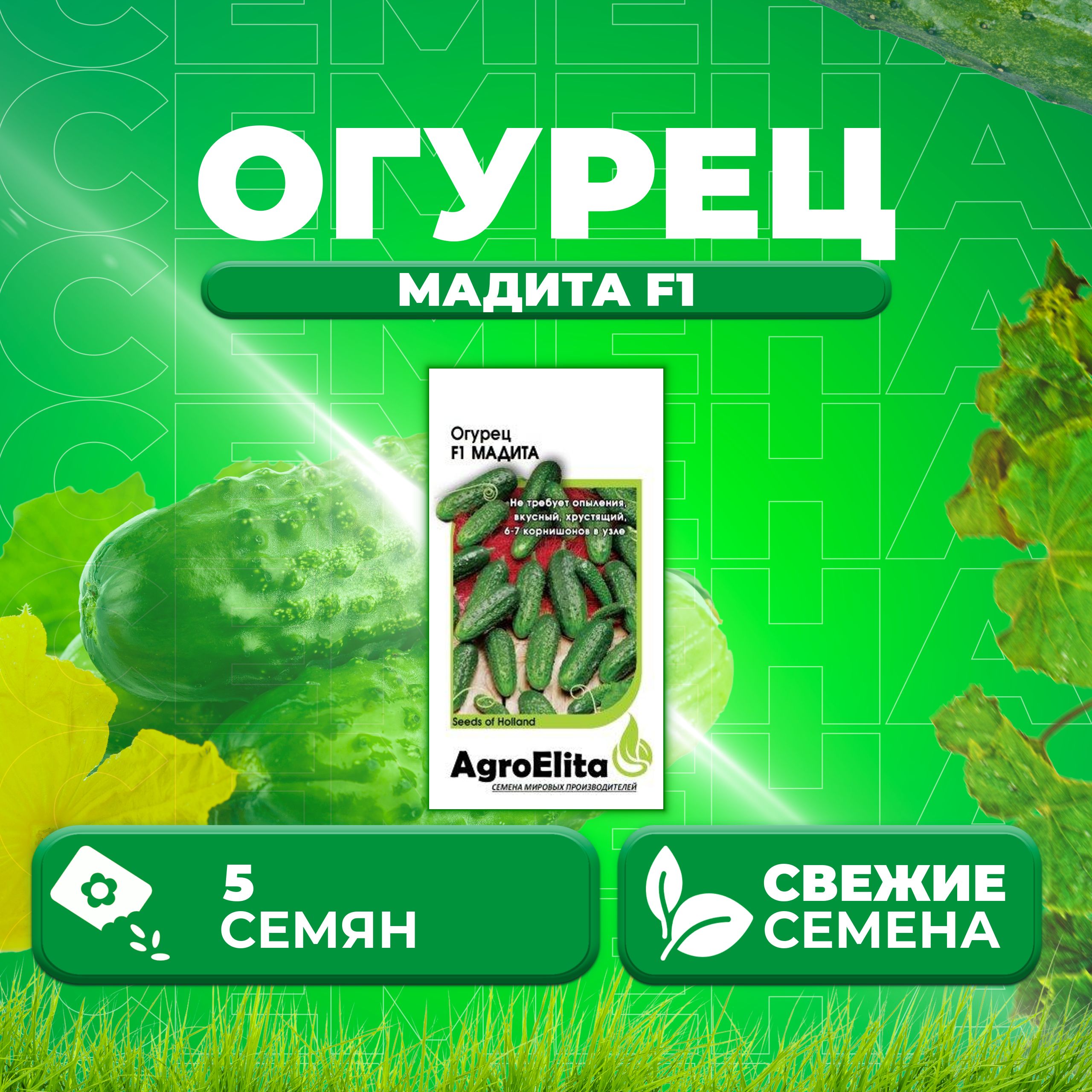 

Семена огурец Мадита F1 AgroElita 107000648-1 1 уп., 107000648