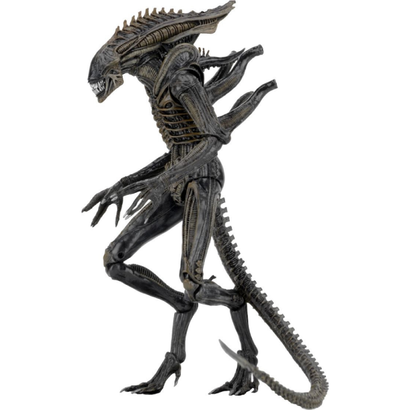 фото Фигурка neca alien чужой - ксеноморф из противостояния (19 см)