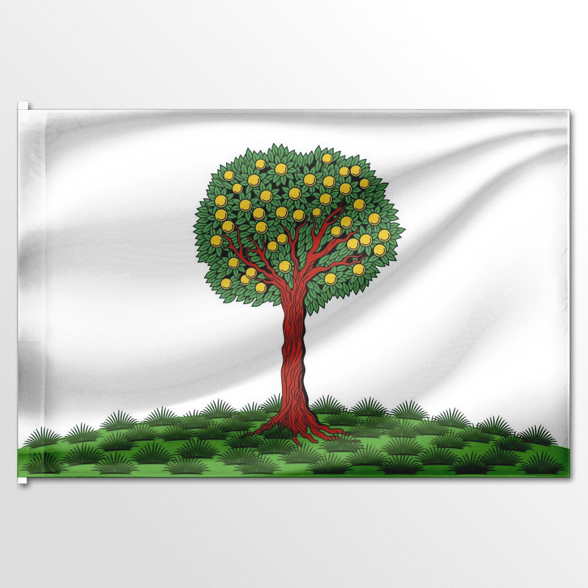 

Флаг ЦТП ФЕНИКС Ломоносова 135x90 см, 3025-135x90
