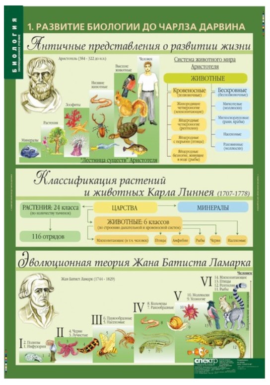 

Комплект таблиц. Биология. 10-11 классы. Эволюционное учение (10 таблиц)