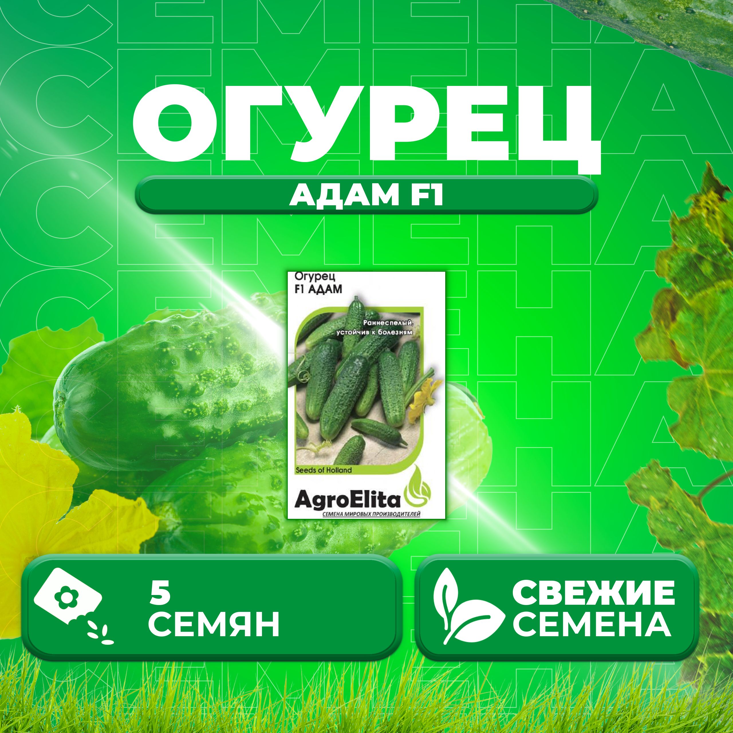 

Семена огурец Адам F1 AgroElita 107000633-1 1 уп., 107000633