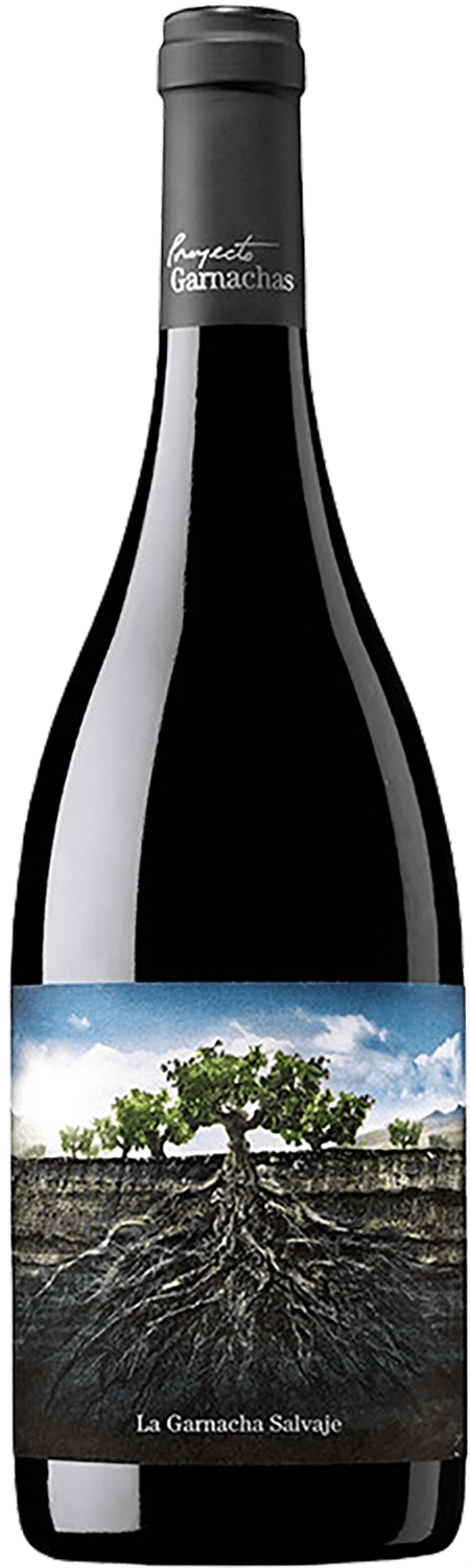 

Вино La Garnacha Salvaje del Moncayo Vintae