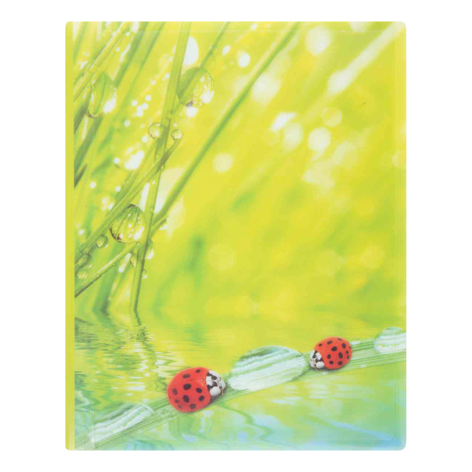 

Папка Berlingo Ladybird A4 на резинке 31,5 x 22,5 см