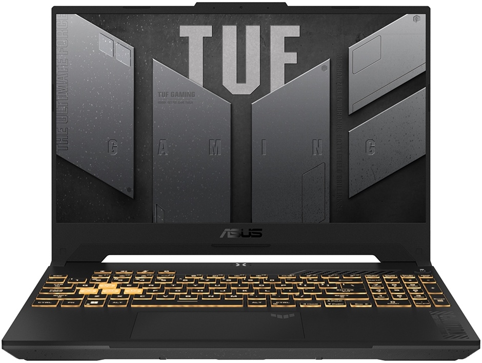 Ноутбук ASUS TUF Gaming F17 FX707VI-LL093 Grey (90NR0FI5-M00600)