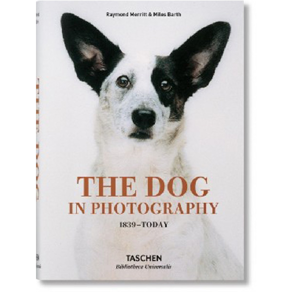 

Dog in Photography 1839-Today / Merritt, Raymond