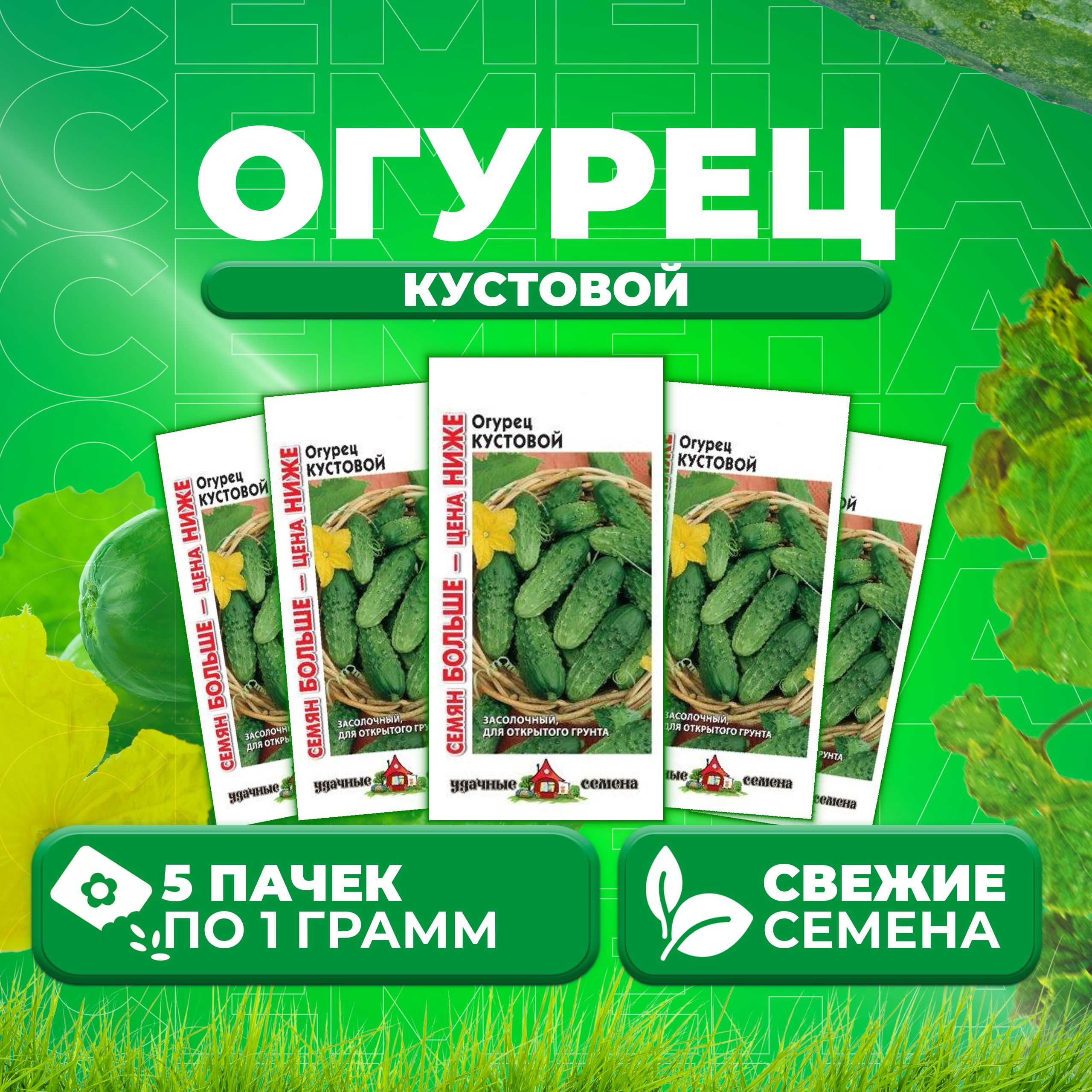 Купить Семена Огурцов Кустовой