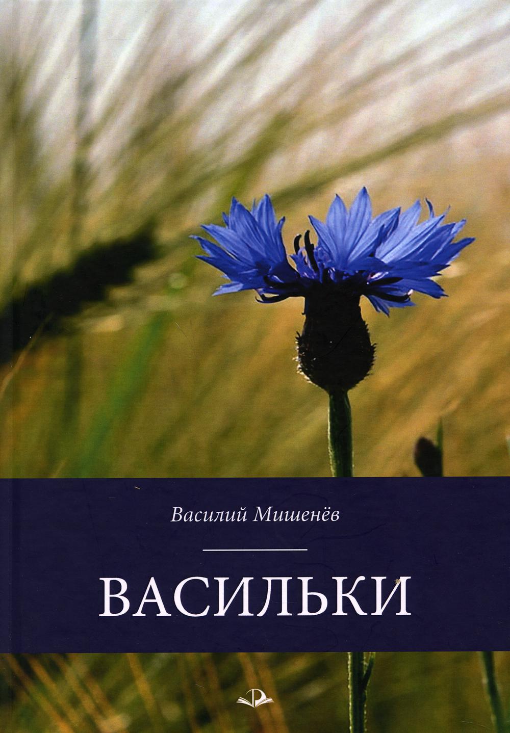 фото Книга васильки: стихотворения инфра-инженерия