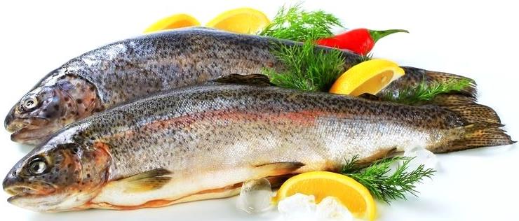 

Форель охлажденная потрошеная с головой +-1 кг