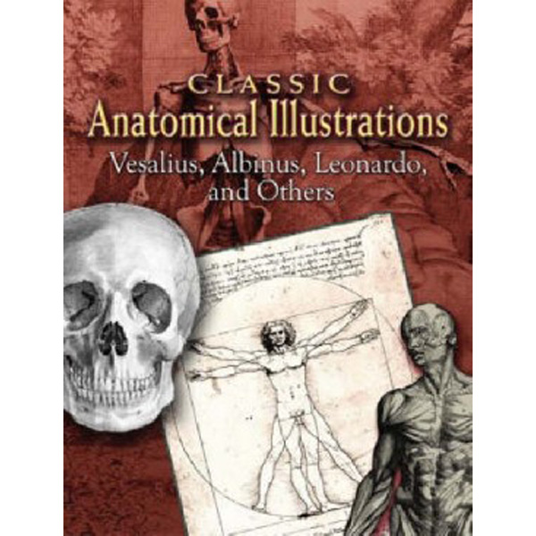 

Classic Anatomical Illustrations / Vesalius