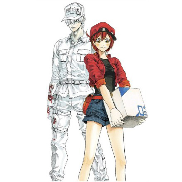 

Cells At Work! Manga Box Set / Various