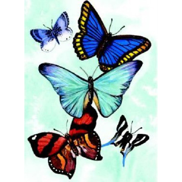 

Butterfly Notebook / Sovak
