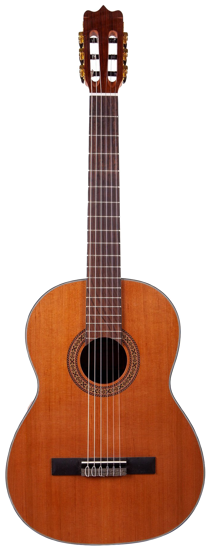 Классическая гитара Martinez FAC 1050