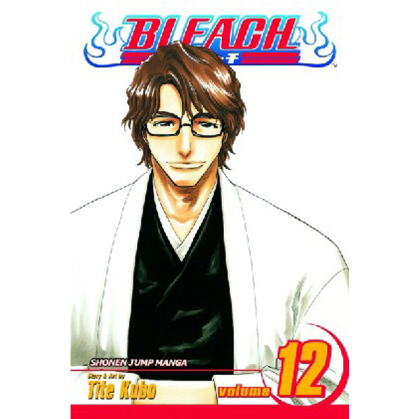 

Bleach, Volume 12 / Kubo