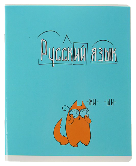 

Тетрадь предметная Academy Style Жизнь кота Русский язык А5 в линию 48 л