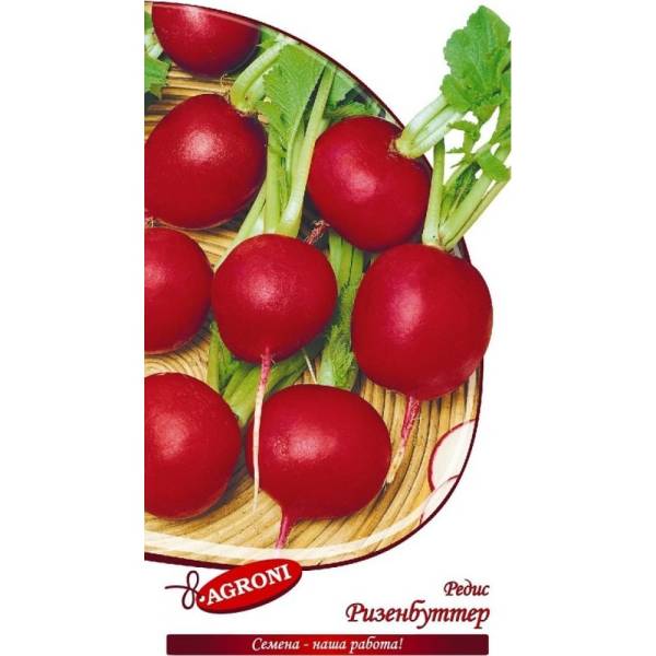 

Семена редис Ризенбуттер Agroni 1710