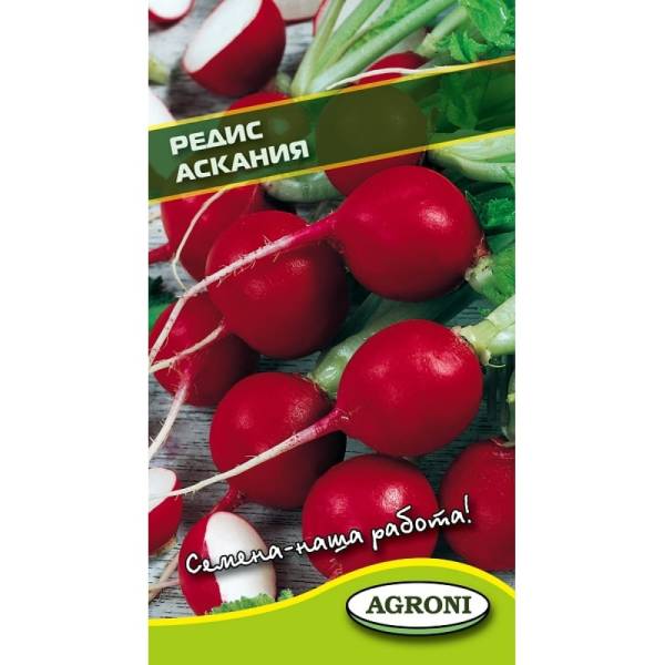 

Семена редис Аскания Agroni 1703