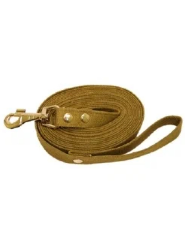 

Поводок Зоотехнология-м 00693 брезентовый, 10 м