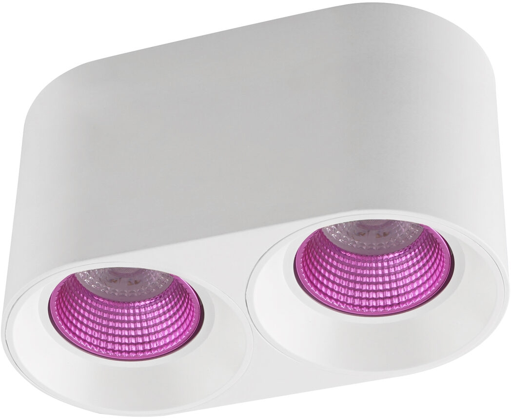 

Накладной светильник Denkirs DK3096-WH+PI, DK3096-WH+PI