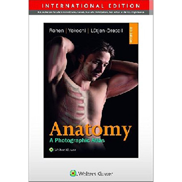 

Anatomy / Rohen