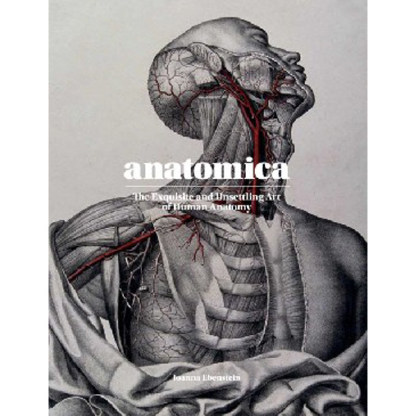 

Anatomica: The Exquisite and Unsettling Art of Human Anatomy / Ebenstein Joanna, Cl...