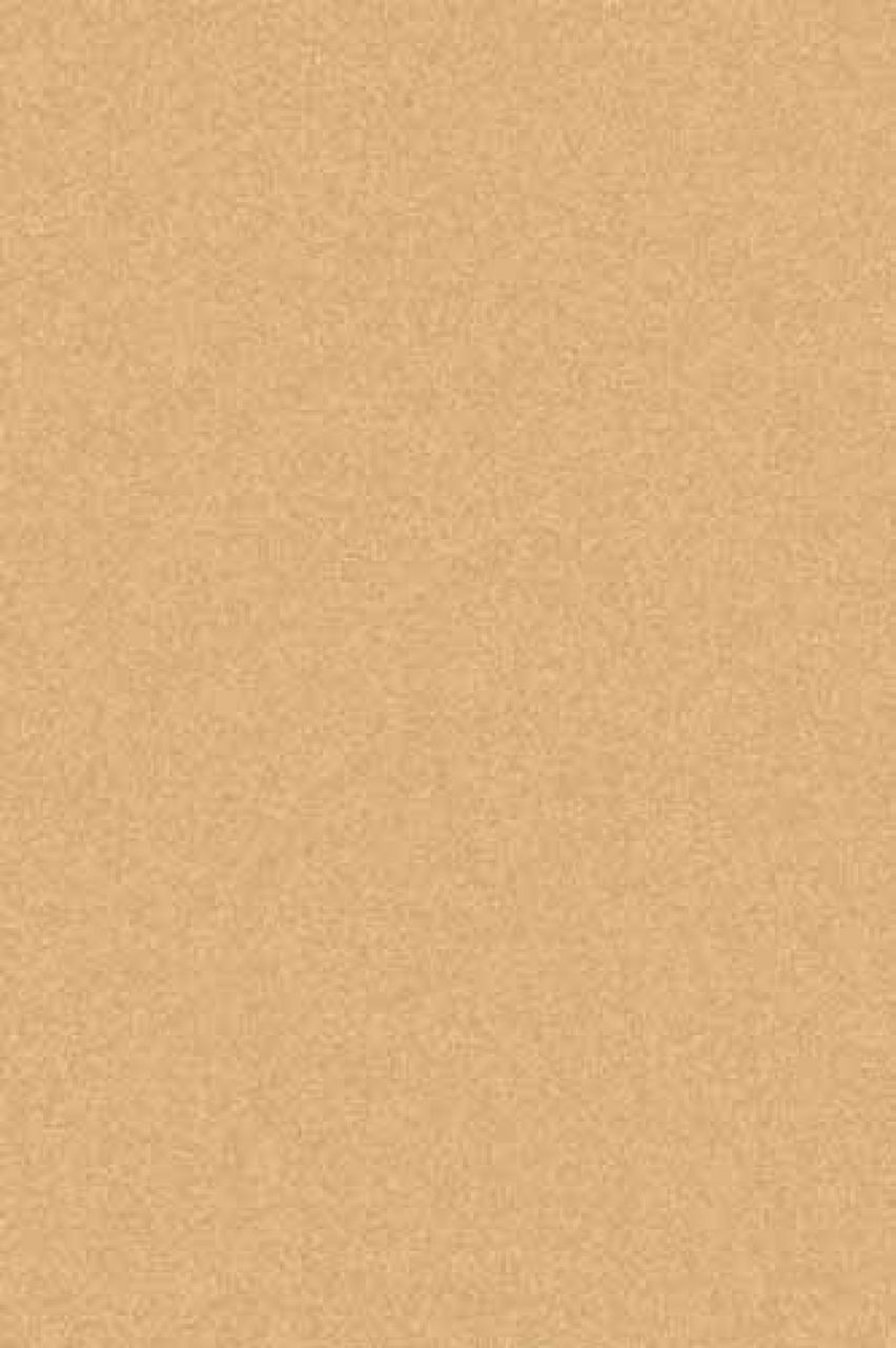 фото Ковер shaggy ultra s600 beige-d.beige merinos