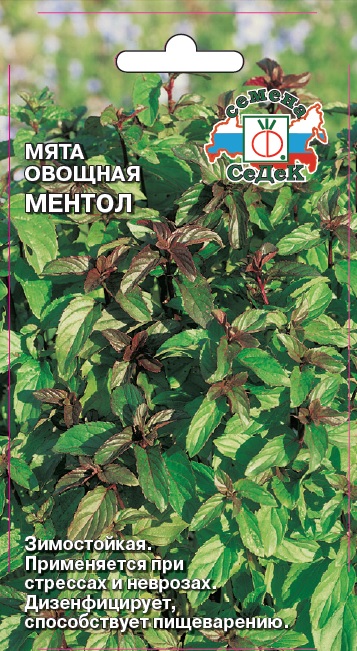 

Семена мята Ментол СеДеК 17325