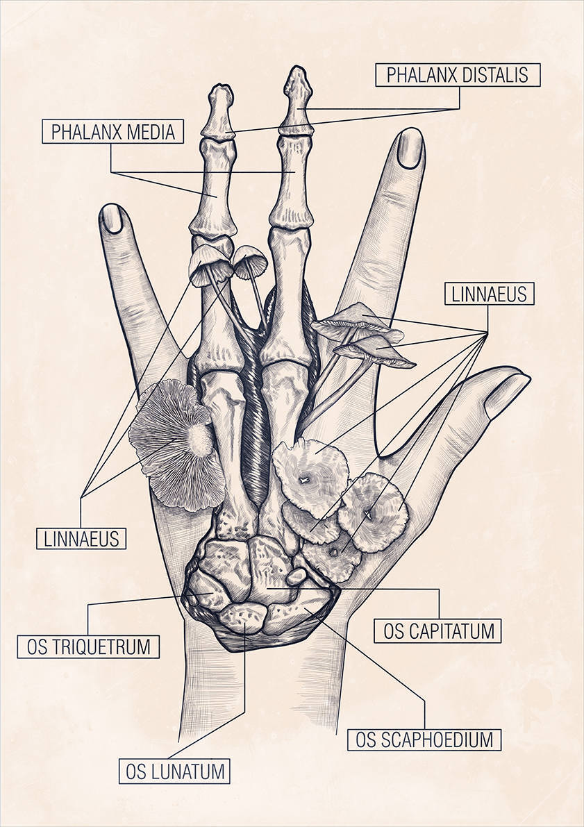 

Большой кино постер к фильму на стену Hand 50х70 см без рамы, CBHAND