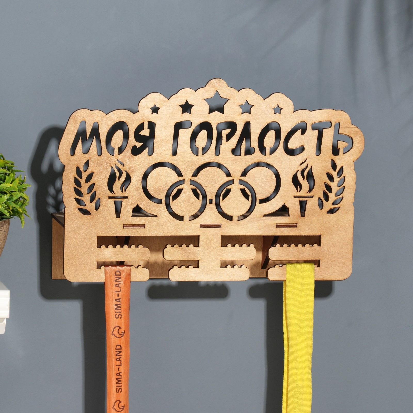 

Медальница Дарим Красиво, Моя гордость, 10084919, бежевый цвет, 19х29 см