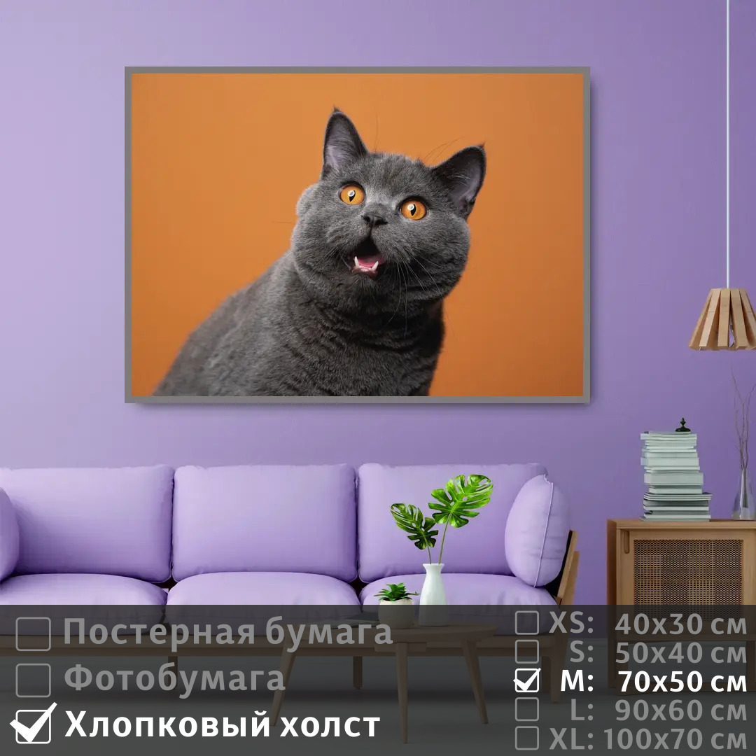

Постер на холсте ПолиЦентр Серый британский кот 70х50 см, СерыйБританскийКот