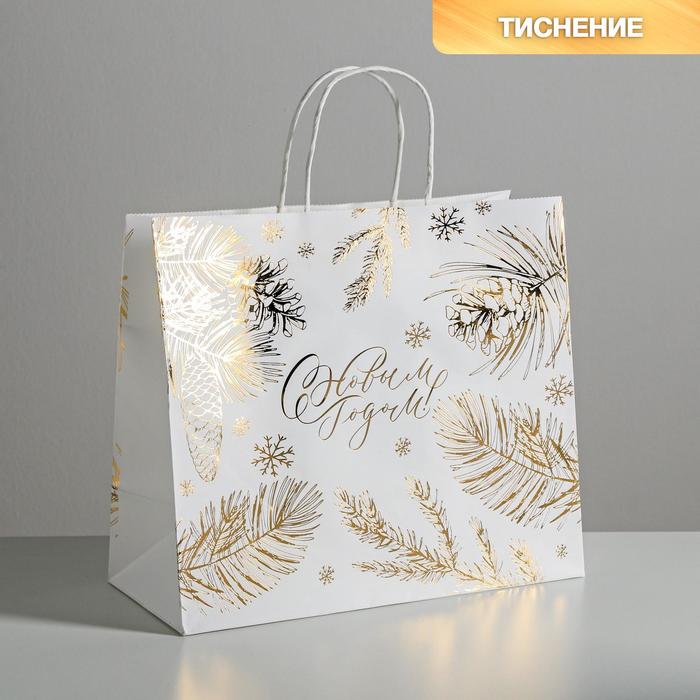 

Пакет подарочный Дарите Счастье Best winter 32 х 28 х 15 см, Белый