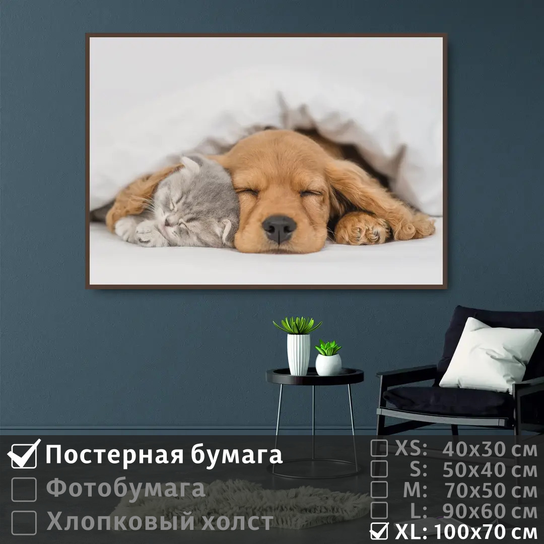 

Постер на стену ПолиЦентр Спящие котенок и щенок 100х70 см, СпящиеКотенокИЩенок1
