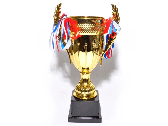 

Кубок. Высота 26 см Sprinter: JB001-С