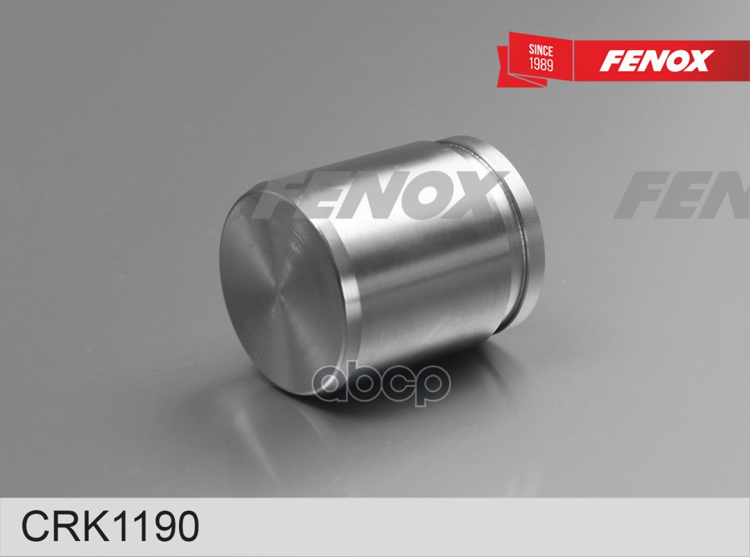 

Поршень Суппорта Nissan X-Trail / Vw Passat / Scirocco 01- FENOX CRK1190