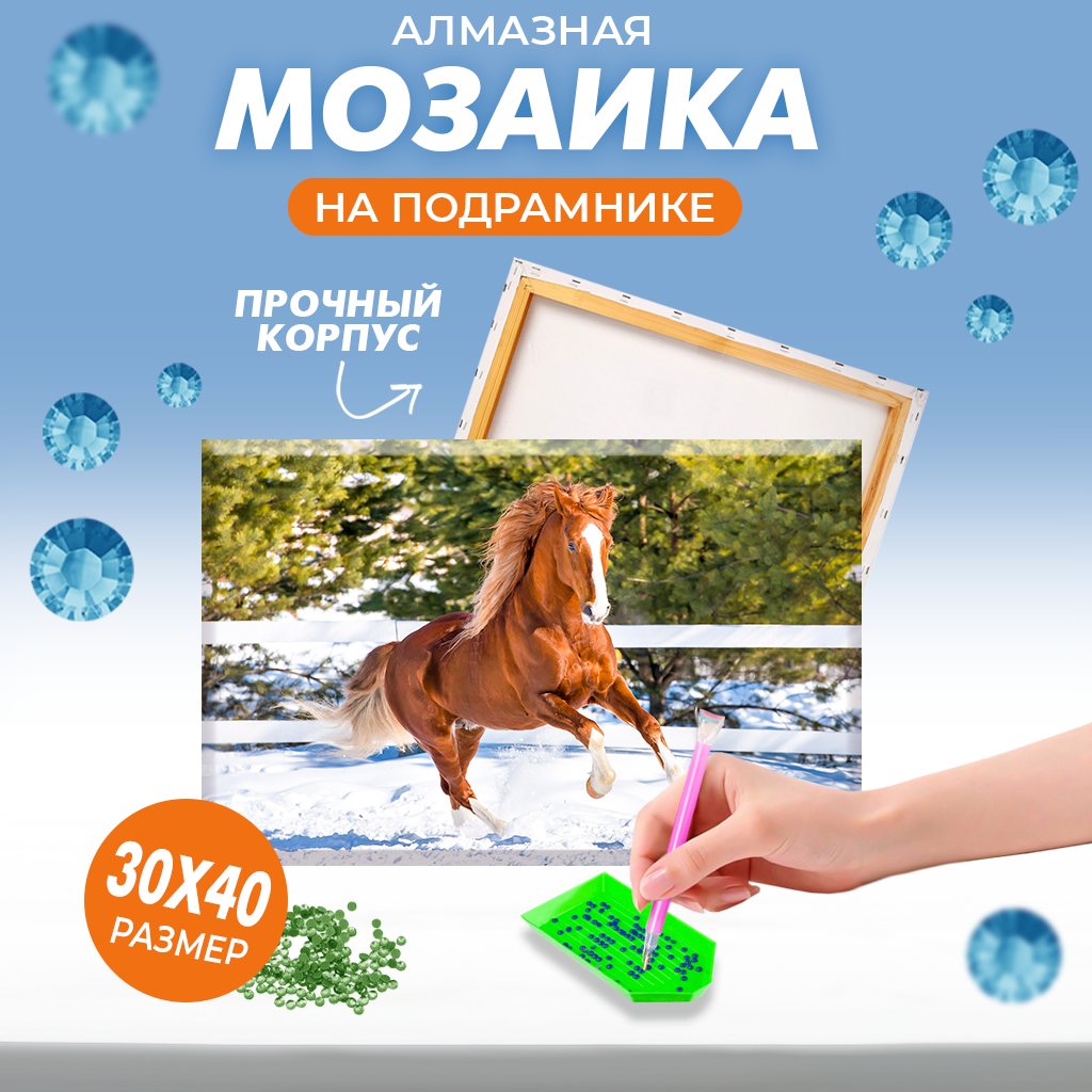 Алмазная мозаика Solmax 