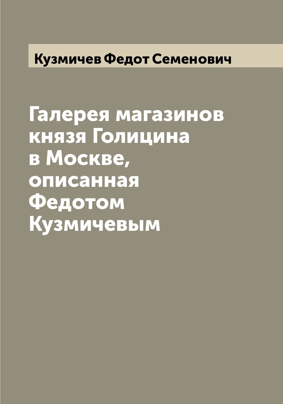 

Галерея магазинов князя Голицина в Москве, описанная Федотом Кузмичевым