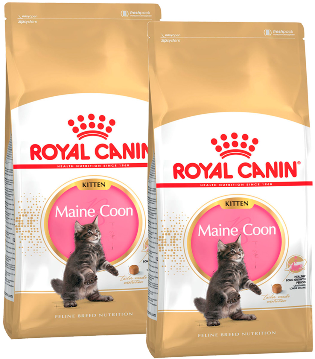 

Сухой корм для котят мэйн-кун Royal Canin Maine Coon Kitten 36, 2 шт по 10 кг