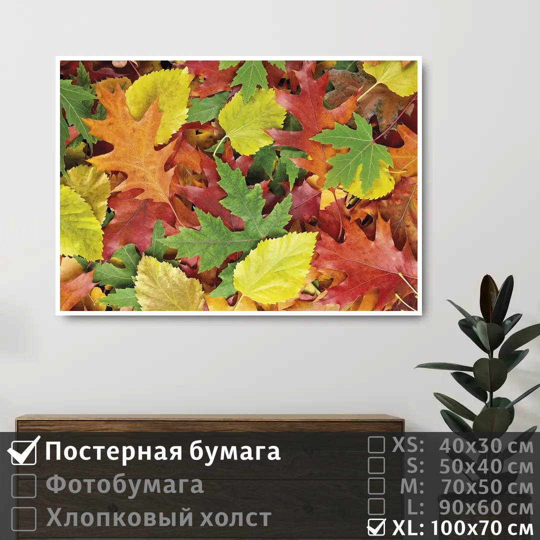 

Постер на стену ПолиЦентр Осенние красочные листья 100х70 см, ОсенниеКрасочныеЛистья1