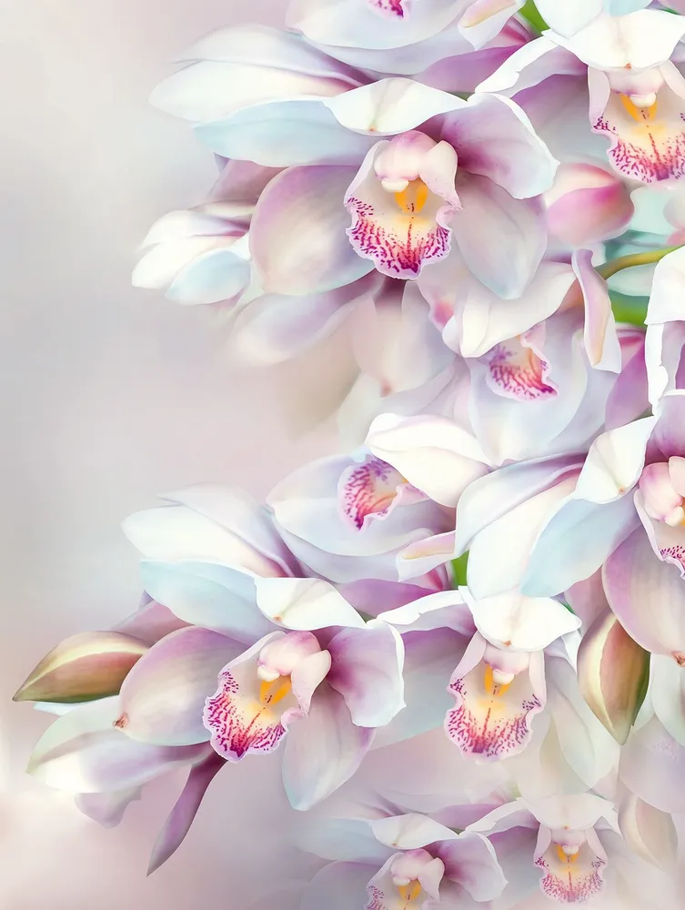 Фотообои бумажные VOSTORG Нежная орхидея 196*260см покрывало нежная фиалка голубой р 180х210