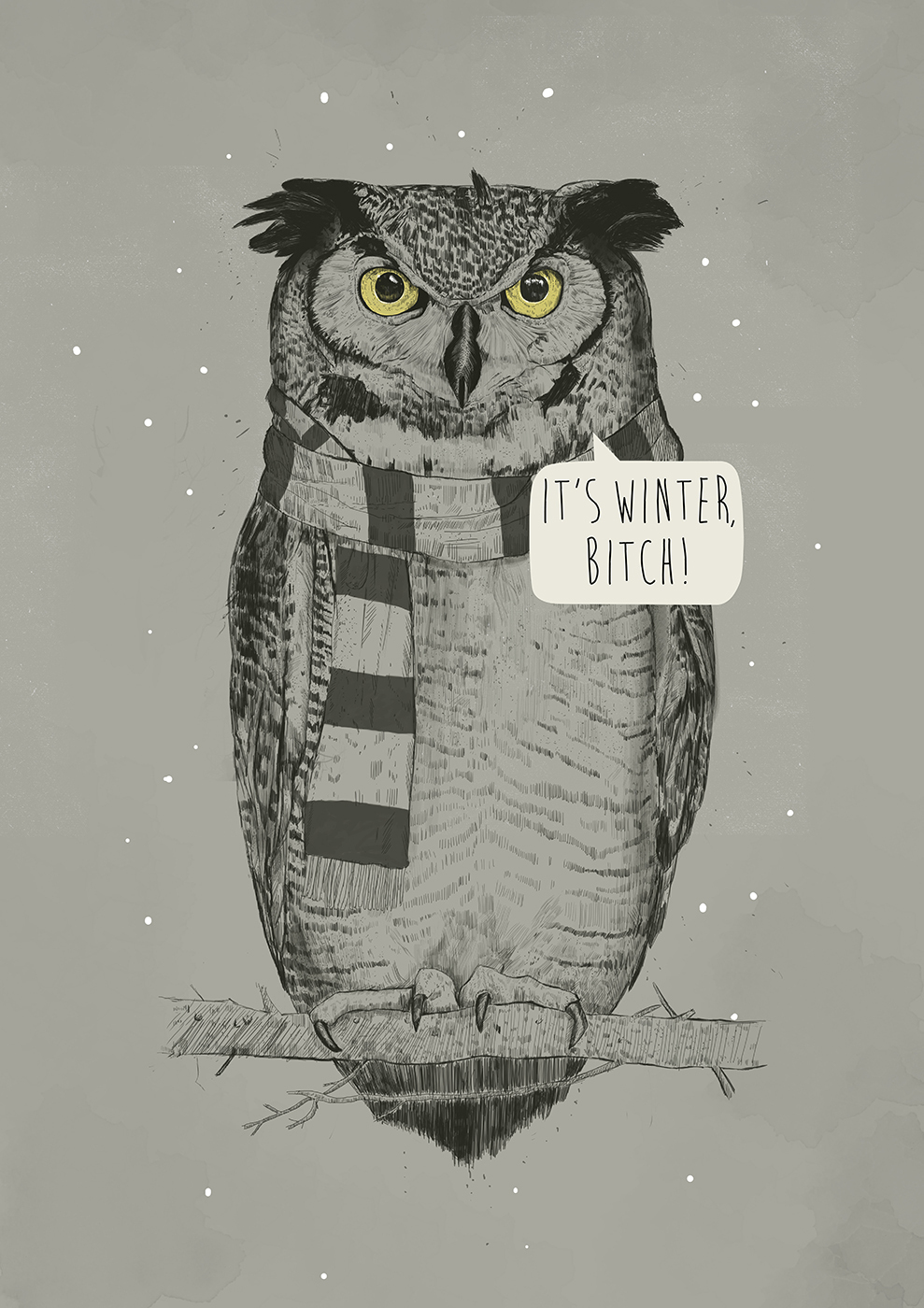 

Большой постер на стену It's winter bitch 60х90 см без рамы, BSWINBITCH