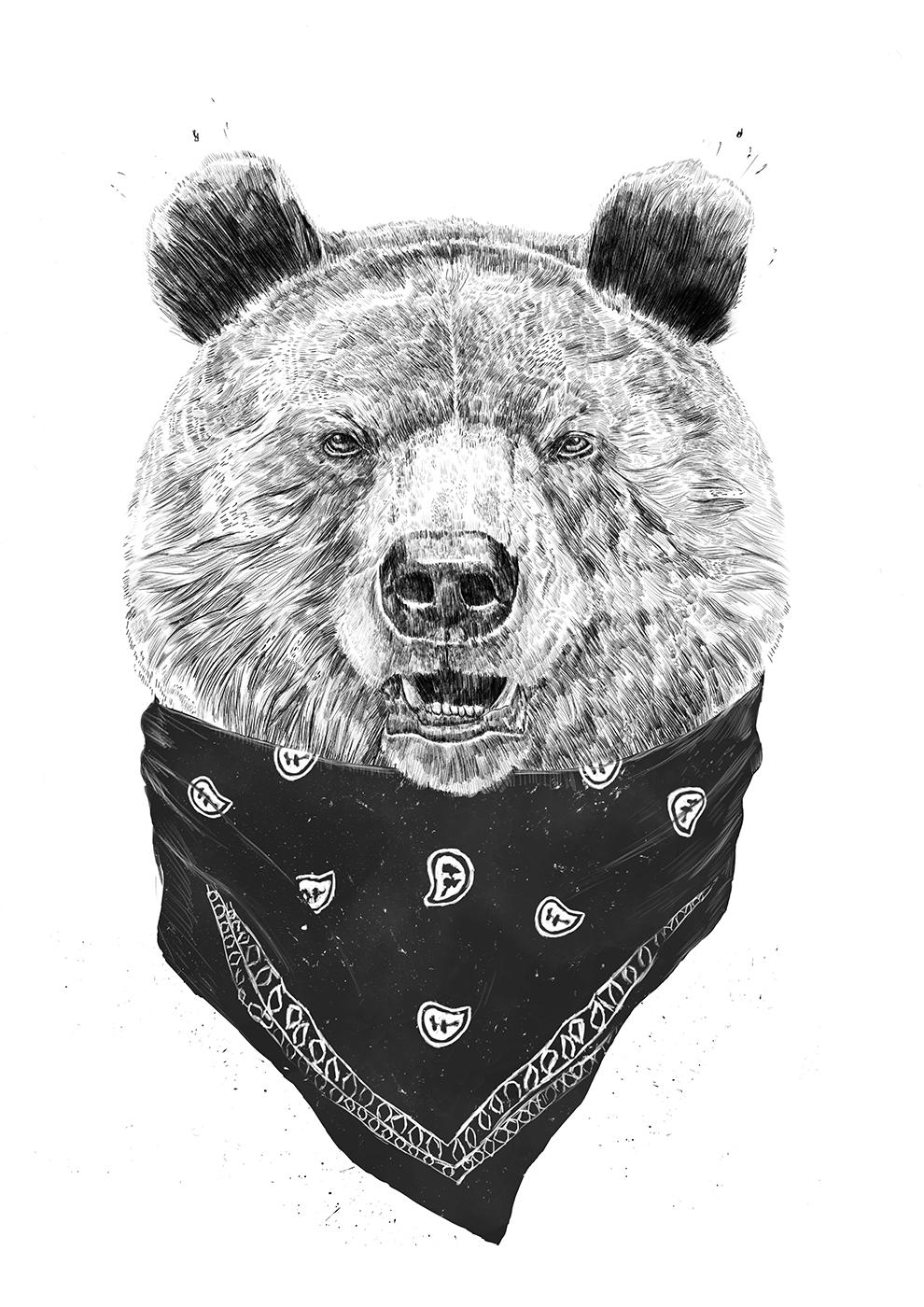 

Большой постер на стену Wild bear 40х50 см без рамы, BSWILD BEAR