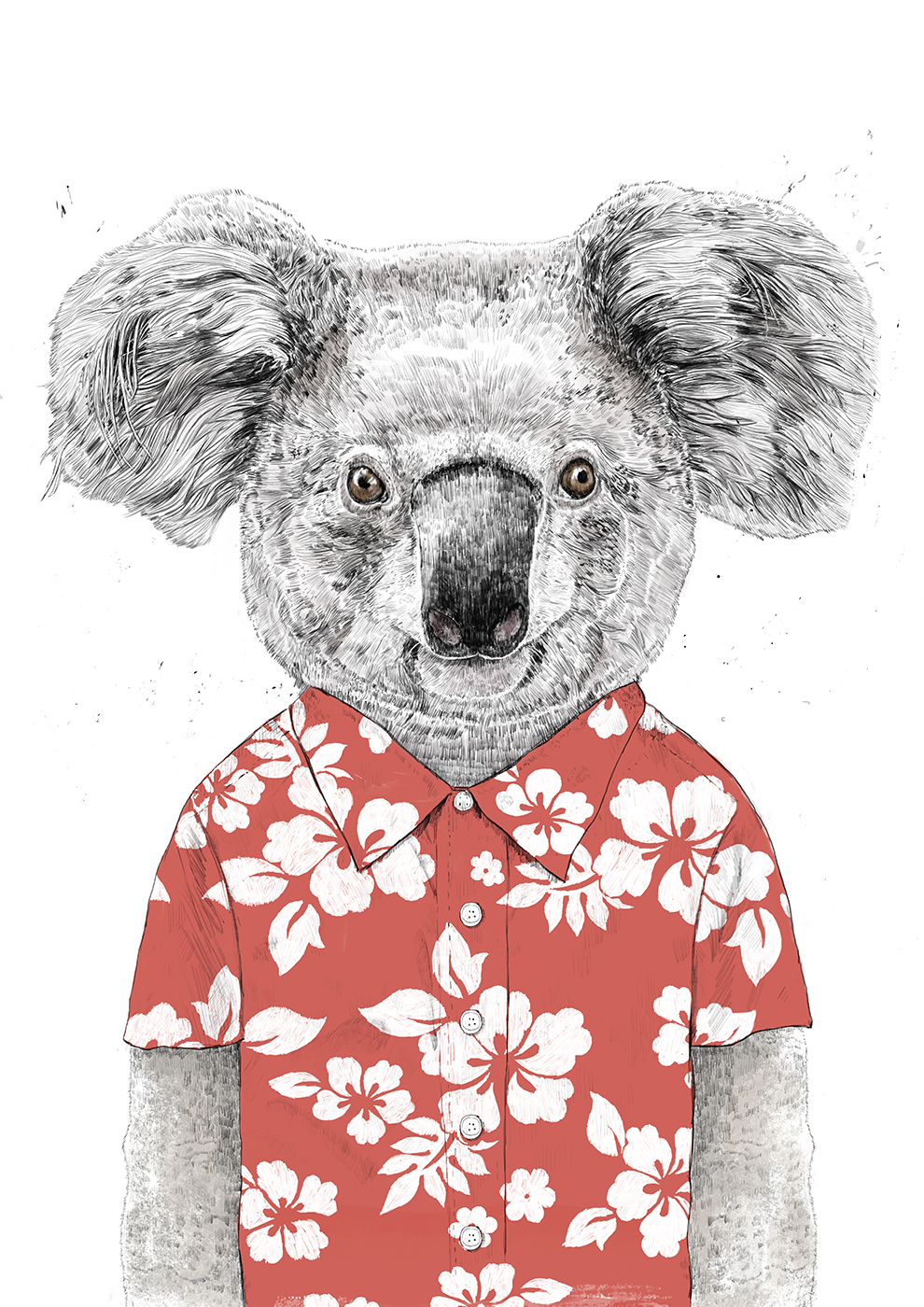 

Большой постер на стену Summer koala 50х70 см без рамы, BSSUMKOALA