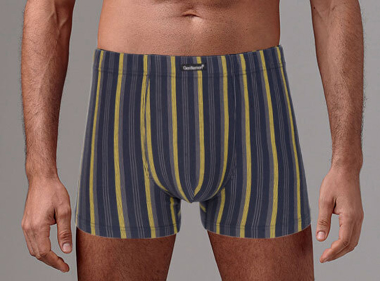 

Трусы мужские Gentlemen боксеры разноцветные XL, Разноцветный, боксеры