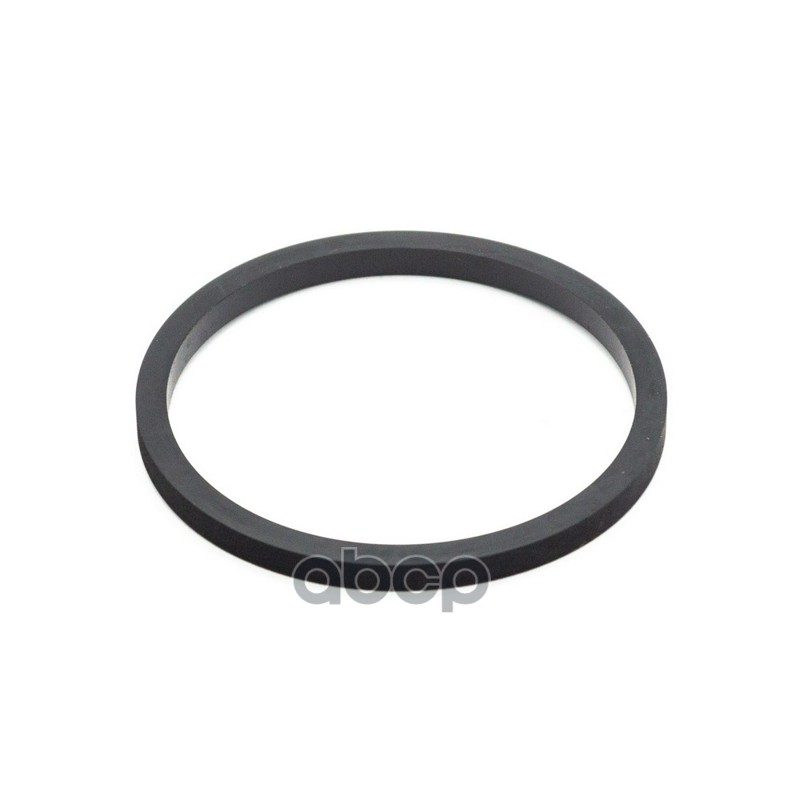 

Кольцо Поршня Переднего Суппорта Hyundai/Kia 58113-3b900 Hyundai-KIA арт. 58113-3B900