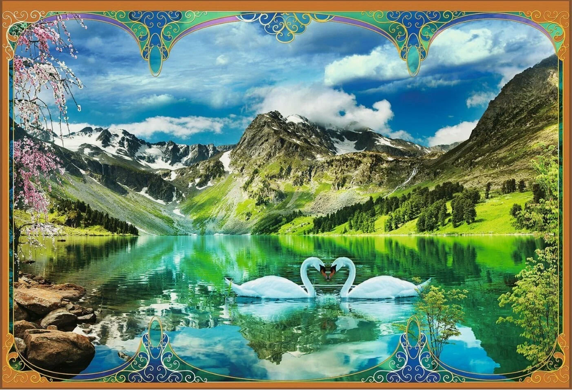 Фотообои бумжные Белые лебеди 196*134