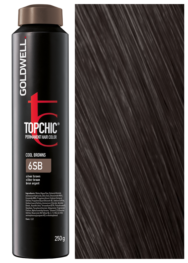 Краска для волос Goldwell Topchic 6SB серебристо-коричневый 250мл дед мороз в высоком колпачке в ремешке и с мешком 44 см серебристо белый