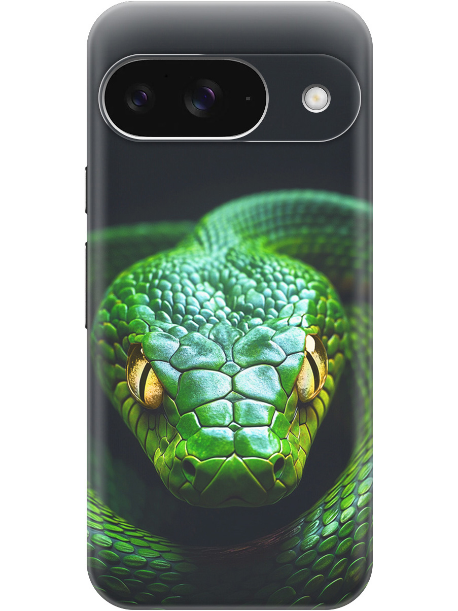 

Силиконовый чехол на Google Pixel 9 с принтом "Зеленая змея", Прозрачный;черный;серебристый;зеленый, 784809713