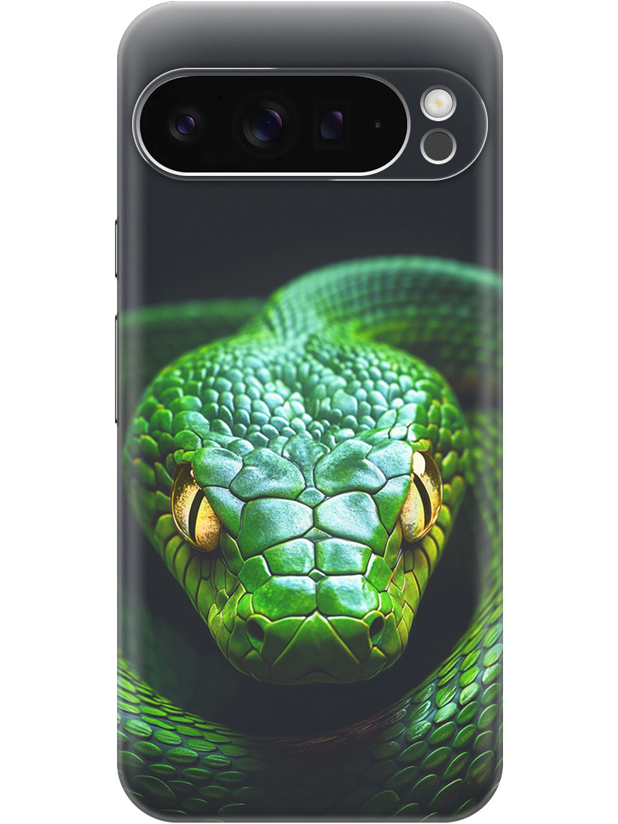 

Силиконовый чехол на Google Pixel 9 pro с принтом "Зеленая змея", Прозрачный;черный;серебристый;зеленый, 784810313